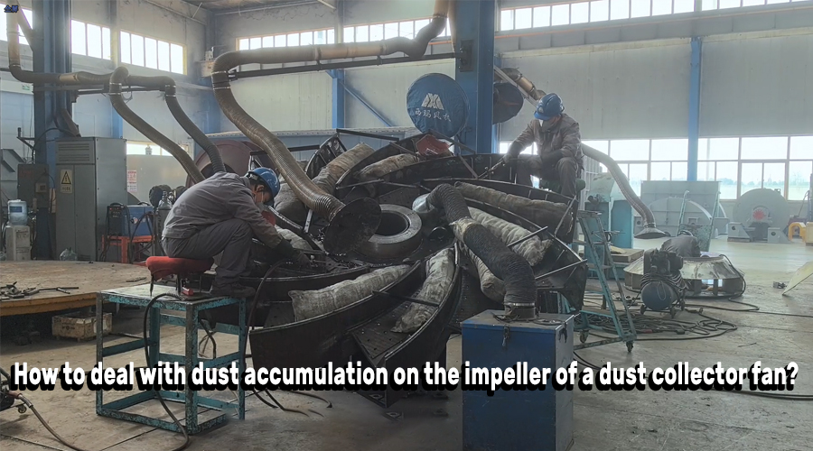 How to deal with dust accumulation on the impeller of a dust collector fan?